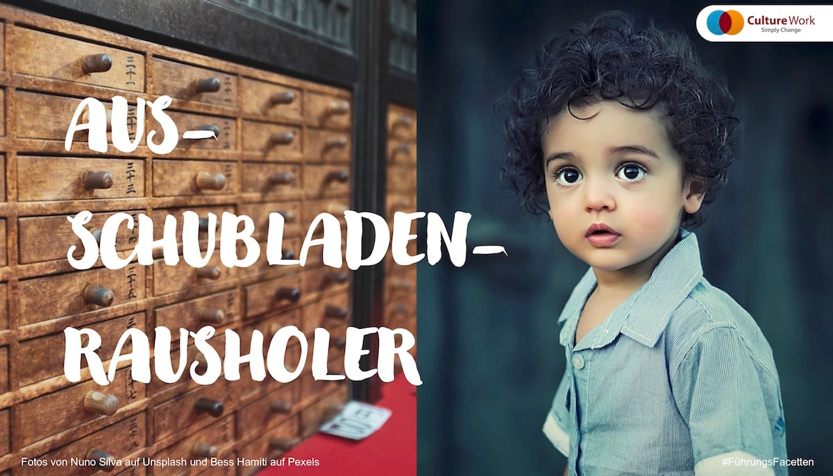Führungs-Facetten Aus-Schubladen-Rausholer