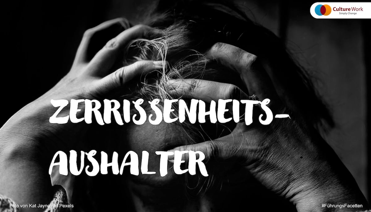 Führungs-Facetten Zerrissenheits-Aushalter