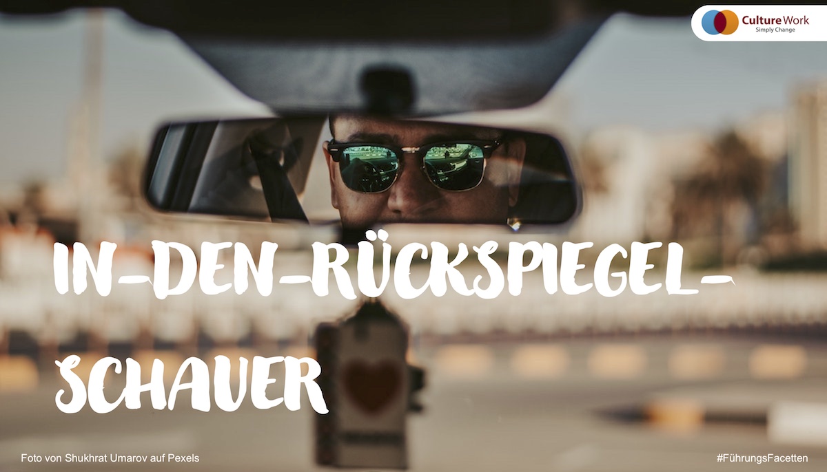 Führungs-Facetten In-den-Rückspiegel-Schauer