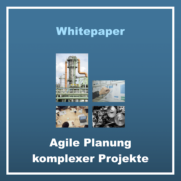 Whitepaper Agile Planung komplexer Projekte Grafik